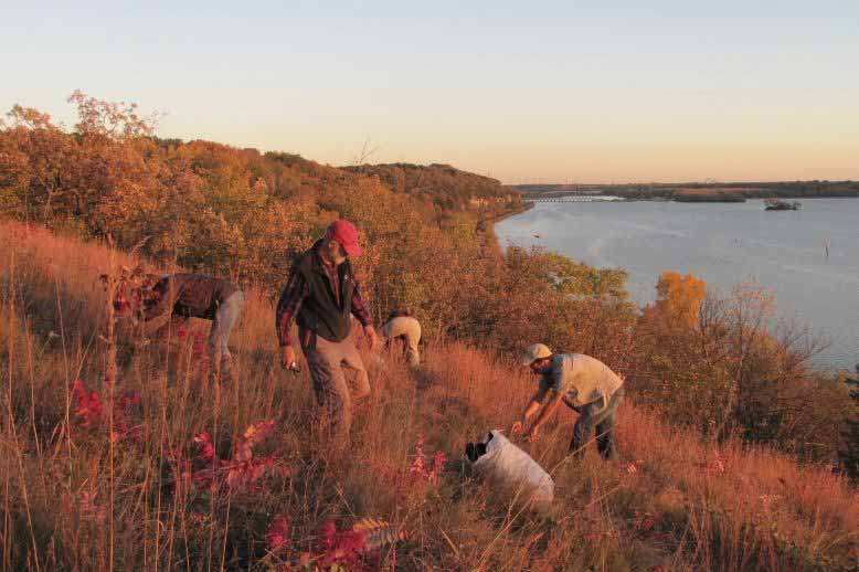 Friends of the Mississippi River's many different community programs work to protect local watersheds. Photo courtesy of Friends of the Mississippi River.