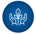 Icon world and money symbol