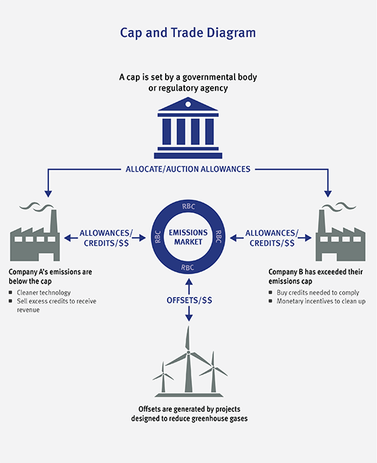 How Carbon Credits Are Calculated<br><br>