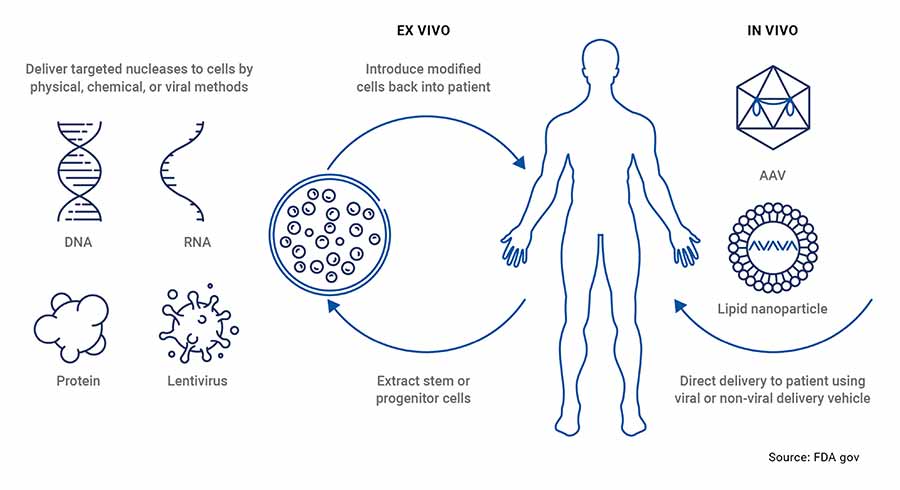 Graph: Gene therapy can potentially enable functional cure for diseases such as LGMD by restoring the defective protein