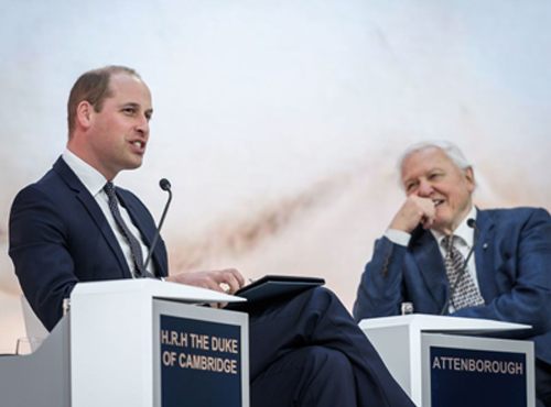 Prince William at the 2019 World Economic Forum in Davos