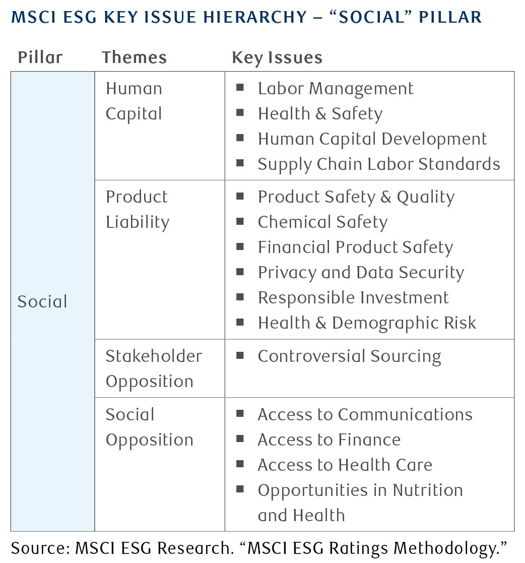 MSCI ESG Key Issue Heirarchy - 'Social' Pillar