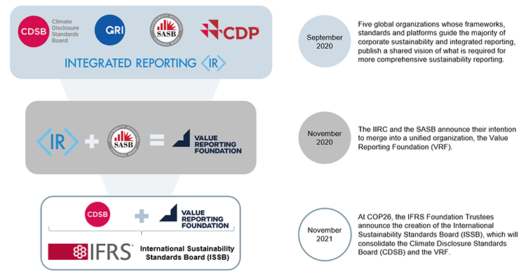 Sustainability Standard Setters Consolidation Visual