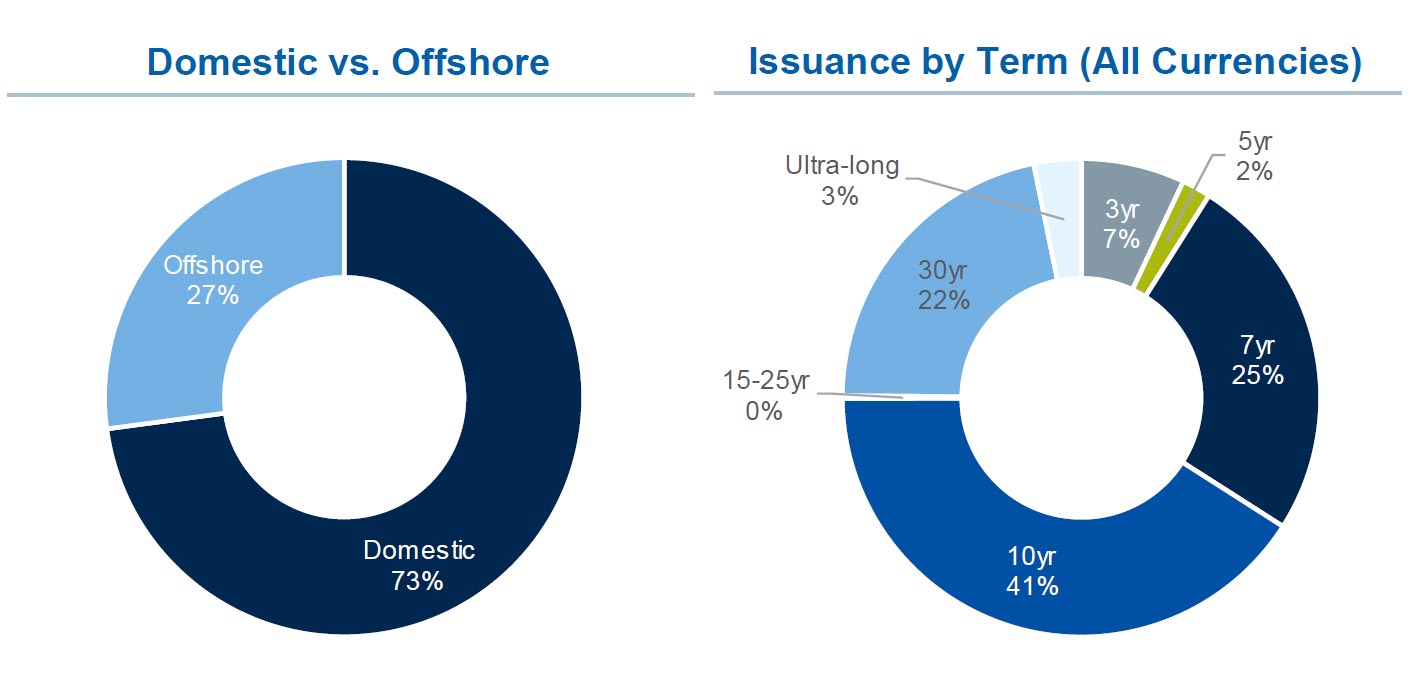 Domestic vs. Offshore; Issuance by Term