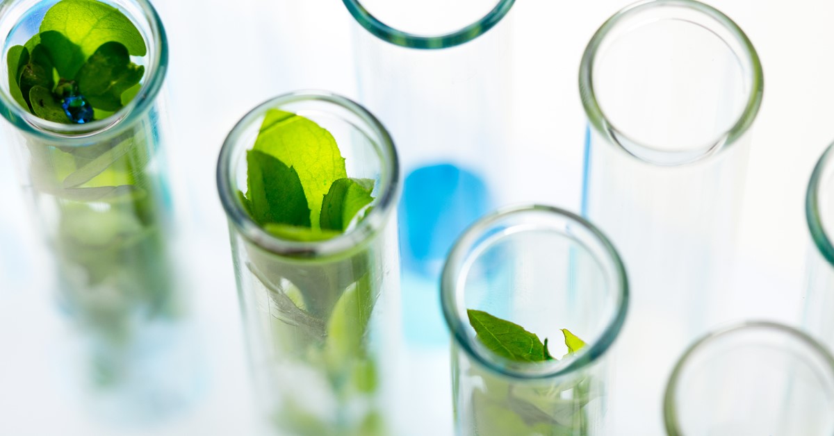 ESG Themes to Watch for in the Healthcare Sector RBCCM
