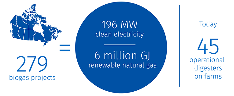 Anaerobic digesters infographic