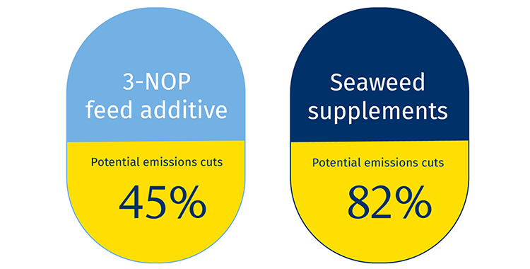 Feed additives infographic