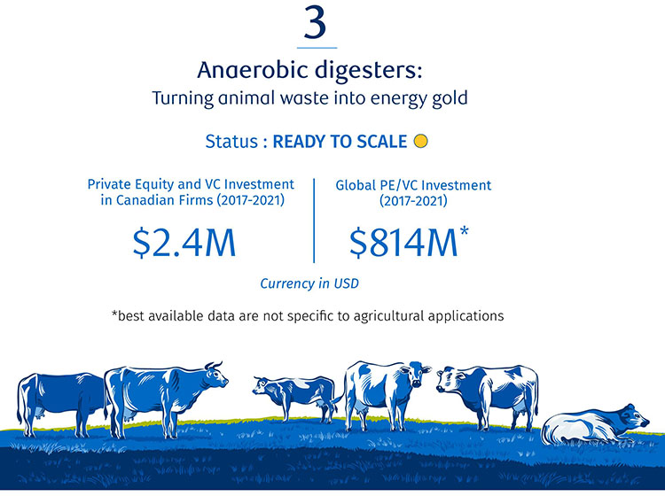 Anaerobic digesters: Turning animal waster into energy gold image