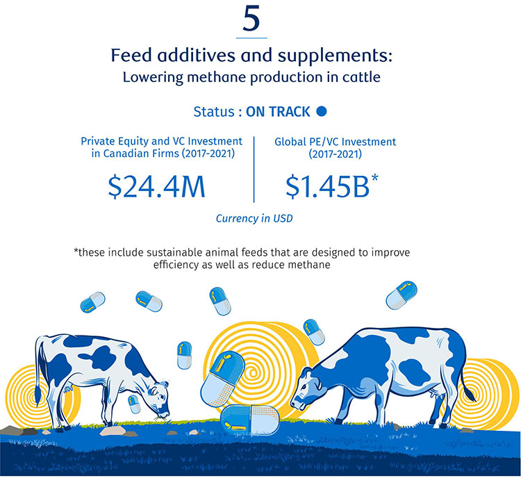 Feed additives and supplements: Lowering methane production in cattle image