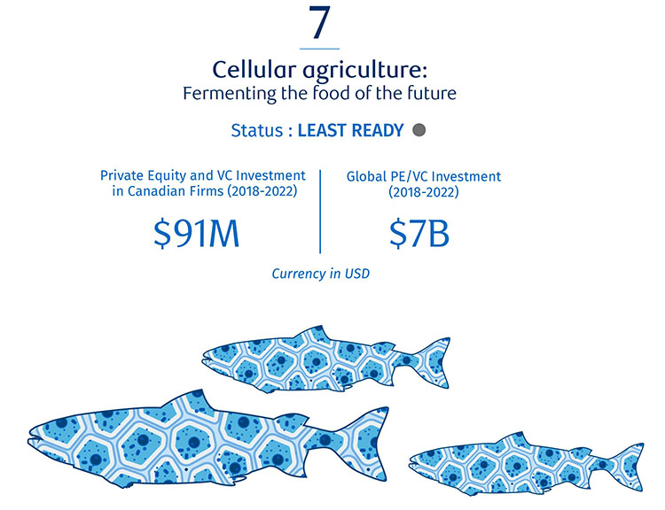 Cellular agriculture: Fermenting the food of the future image graphic