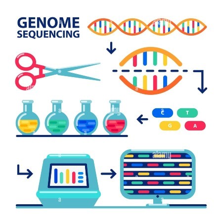 Image of Genome Sequencing