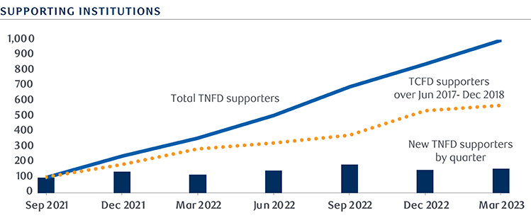 Image of supporting institution chart - Source: Bloomberg New Energy Finance 