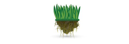 Patch of grass and soil icon