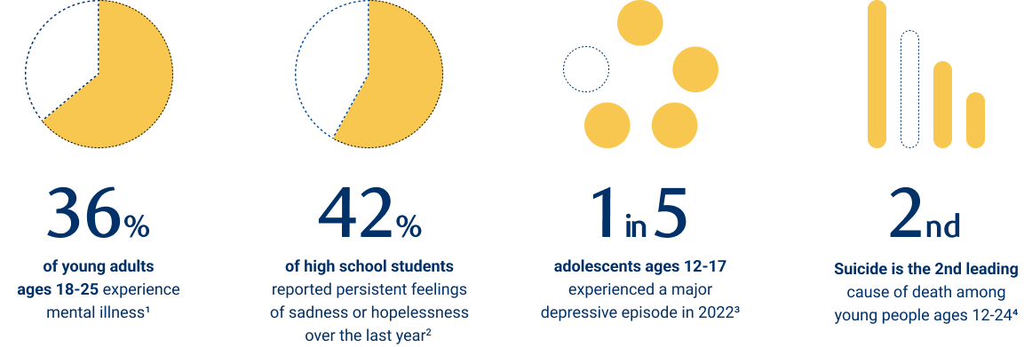 Recognizing the youth experience graphs image