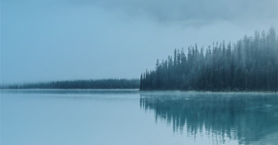 Image of lake with treeline for Municipal Treasurers Roundtable Report