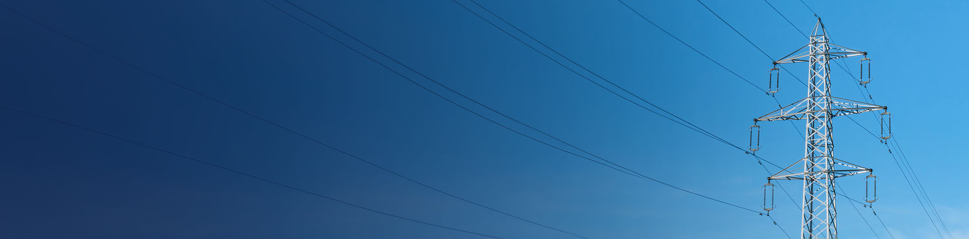 PPL Capital Funding Banner image