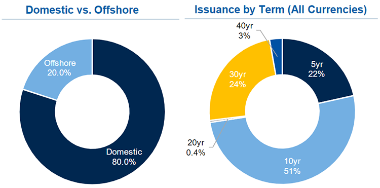 Domestic vs. Offshore and Issuance by Term (All Currencies) donut graph images.
