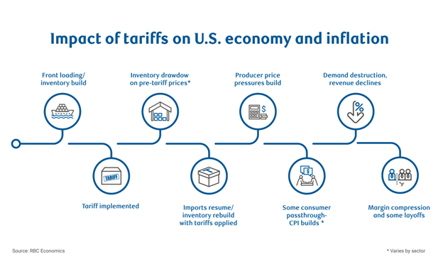 Impact of Tariffs on U.S. economy and inflation infographic. Source: RBC Economics. *Varies by sector