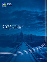 Image of mountain for the Public Sector Issuers Roundtable Report