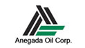 Image of Anegada logo